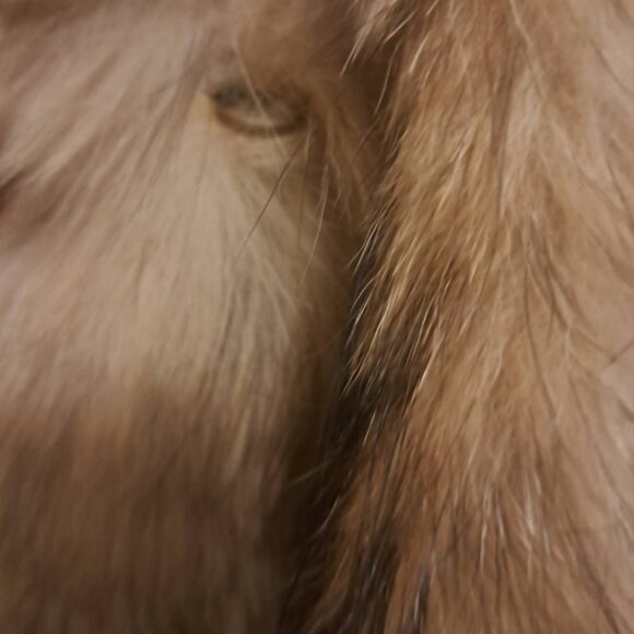 VINTAGE PADDOR'S COYOTE COAT SZ18 - Picture 8 of 9